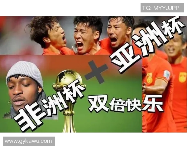 葡萄牙与新西兰足球对决前瞻分析及胜负预测