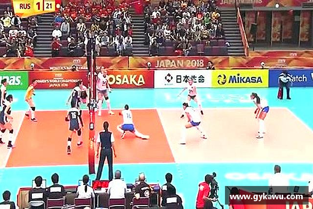 介绍mksport最新地址